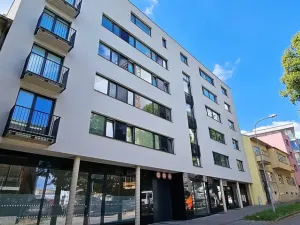 Pronájem bytu 2+kk, Brno, Kollárova, 85 m2