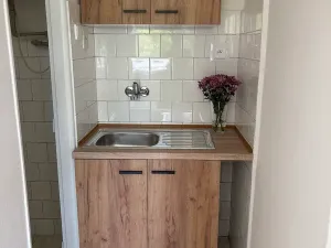Prodej bytu 1+kk, Frýdek-Místek, El. Krásnohorské, 25 m2