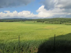 Prodej rodinného domu, Protivín, 259 m2