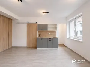 Prodej bytu 1+kk, Brno, Viniční, 27 m2