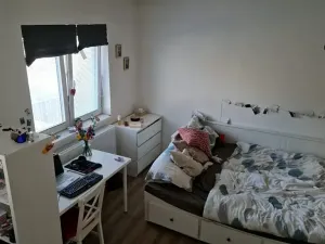 Prodej bytu 1+1, Olomouc, Erenburgova, 40 m2