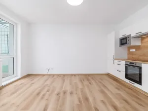 Prodej bytu 2+kk, České Budějovice, K. Chocholy, 48 m2
