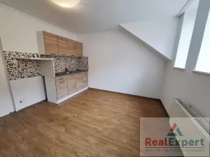 Pronájem bytu 1+kk, Praha - Žižkov, Jeseniova, 20 m2