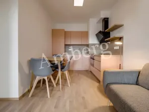 Pronájem bytu 2+kk, Praha - Karlín, Breitfeldova, 40 m2