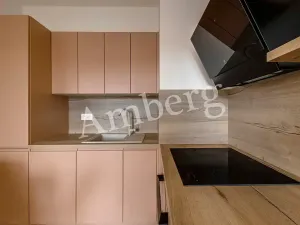 Pronájem bytu 2+kk, Praha - Karlín, Breitfeldova, 40 m2