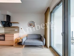 Pronájem bytu 2+kk, Praha - Karlín, Breitfeldova, 40 m2