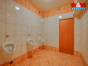 Pronájem obchodního prostoru, Plzeň - Jižní Předměstí, Americká, 145 m2