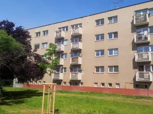 Prodej bytu 2+1, Hradec Králové, Labská kotlina, 53 m2