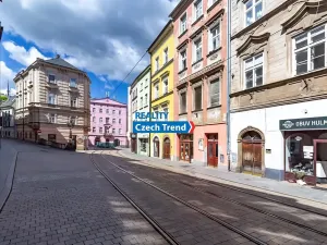 Pronájem bytu 3+kk, Olomouc, Denisova, 105 m2