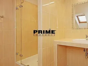 Pronájem kanceláře, Praha - Střešovice, Nad hradním vodojemem, 350 m2