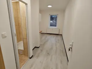 Pronájem bytu 1+kk, Praha - Hlubočepy, Na Zlíchově, 23 m2