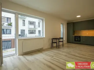 Pronájem bytu 1+kk, Praha, Štěchovická, 45 m2