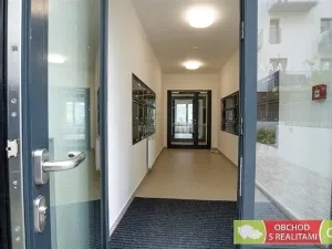 Pronájem bytu 1+kk, Praha, Štěchovická, 45 m2