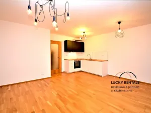 Pronájem bytu 1+kk, Praha - Modřany, Provázkova, 37 m2