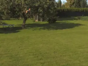 Prodej pozemku pro bydlení, Dobrá, 1044 m2