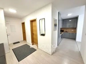 Pronájem bytu 2+kk, Brno, Metodějova, 73 m2