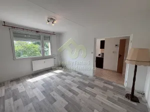 Pronájem bytu 1+1, Rokycany, Horákova, 34 m2
