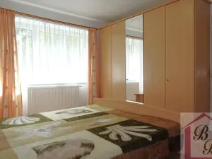 Pronájem bytu 2+1, Mladá Boleslav, Erbenova, 49 m2