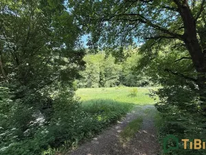 Prodej louky, Bílovice nad Svitavou, 3200 m2
