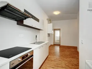 Pronájem bytu 2+1, Brno, Kobližná, 61 m2