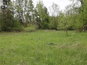 Prodej komerční nemovitosti, Šlapanov, 500 m2