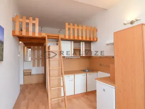 Pronájem bytu 1+kk, České Budějovice, Šumavská, 21 m2
