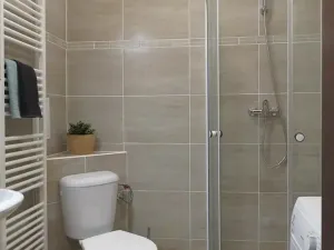 Pronájem bytu 1+kk, Brno, Koliště, 30 m2