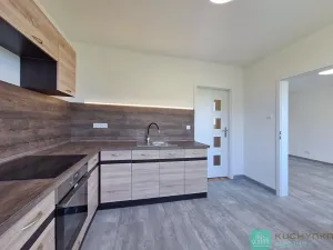 Pronájem bytu 1+1, Litvínov, Čapkova, 36 m2