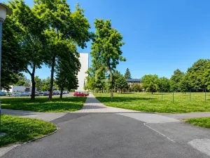 Pronájem bytu 2+1, Ostrava, Dr. Martínka, 54 m2