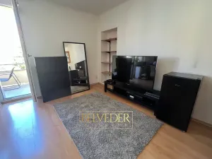 Pronájem bytu 1+kk, Praha - Nusle, Bohuslava ze Švamberka, 25 m2