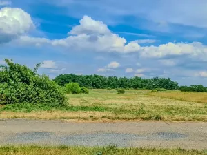 Prodej pozemku pro bydlení, Horní Beřkovice, 1189 m2