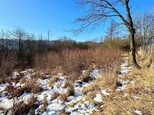 Prodej pozemku pro bydlení, Letovice, 1845 m2
