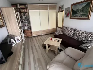 Pronájem bytu 1+1, Frýdek-Místek, Ostravská, 32 m2