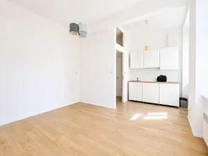 Pronájem bytu 1+kk, Praha - Holešovice, Na Maninách, 33 m2