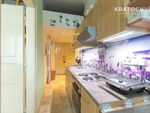 Pronájem bytu 2+kk, Praha - Žižkov, Rečkova, 48 m2
