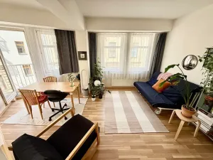 Prodej bytu 2+kk, Praha - Žižkov, Dalimilova, 50 m2