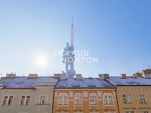 Pronájem bytu 4+kk, Praha - Žižkov, Kubelíkova, 102 m2