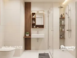 Prodej bytu 1+1, Karviná - Mizerov, tř. Těreškovové, 33 m2