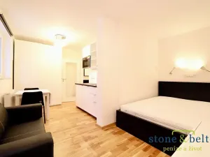 Pronájem bytu 1+kk, Praha - Vysočany, U Lidového domu, 22 m2