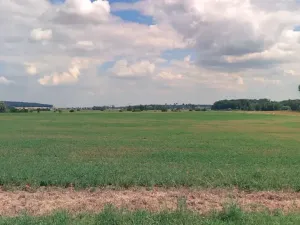 Prodej pozemku, Kladruby nad Labem, 6524 m2