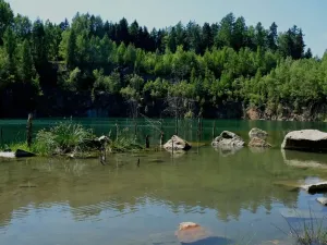 Prodej rybníku, Lipová, 80000 m2