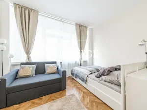 Pronájem bytu 1+kk, Praha - Nové Město, Na zbořenci, 27 m2