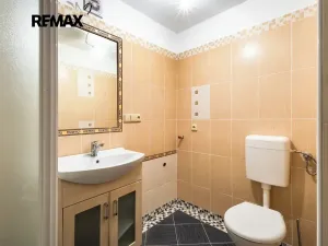Prodej chalupy, Čenkovice, 175 m2