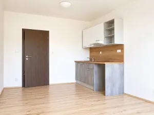 Pronájem bytu 1+kk, Syrovice, 27 m2
