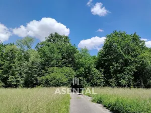 Prodej pozemku, Karviná - Louky, 285924 m2