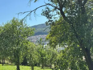Prodej zahrady, Zlín - Prštné, 516 m2