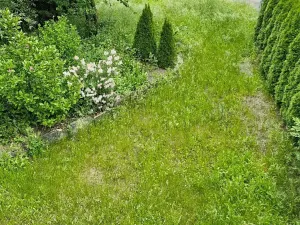 Pronájem bytu 2+1, Bruntál, Nerudova, 50 m2