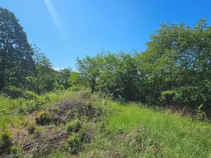 Prodej pozemku pro bydlení, Letovice, 1845 m2