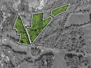 Prodej pozemku pro bydlení, Zlatá Olešnice, 27729 m2