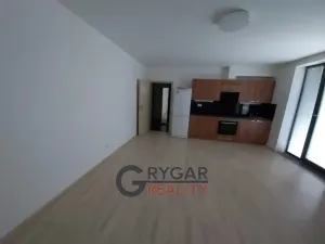 Pronájem bytu 1+kk, Běloky, 40 m2
